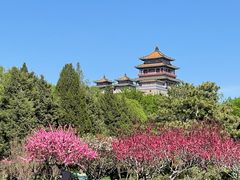 -莲花池公园