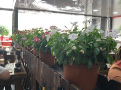 大堂-豫掌柜饸饹面·烩面(秀沿路店)