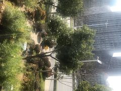 -竹里馆 ·茶食(奥体店)