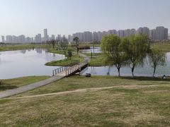 -洋湖国家湿地公园
