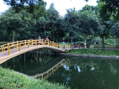 -晓港公园