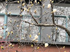-浙江大学(玉泉校区)