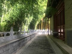 -潭柘寺景区