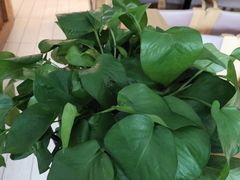 -德克士(宽甸店)