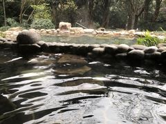 -融汇温泉