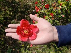 -丁山花园酒店-明园餐厅