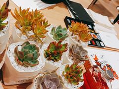 -Alexander McQueen(IAPM环贸广场店)