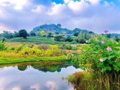-雅达·阳羡溪山小镇中心