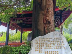 -峨眉山报国寺