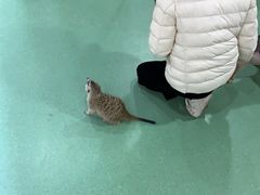 -藦茜花园宠物主题亲子互动体验馆(国顺东路店)