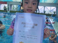 -鲨鱼游泳培训中心