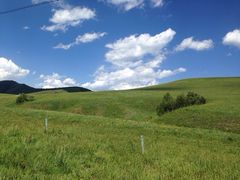 iphone_upload_pic-塞罕坝国家级自然保护区