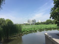 -东华大学(松江校区)