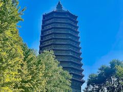 -玲珑塔公园