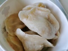 -马大刚白记包子
