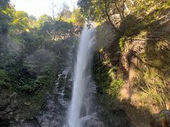 -莫里热带雨林景区