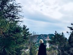 -龙口南山旅游景区