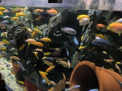 -太平洋海底世界