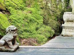 -青竺·青竹茶舍(断桥店)