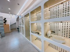 -comecome来吧宠物(奥克斯中心店)