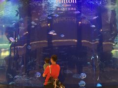 -OPEN開全日自助餐厅·西餐·海鲜(佛山希尔顿酒店)