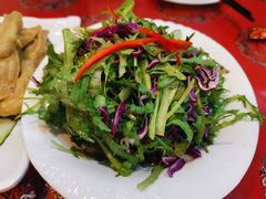 拌苦菊-玉华台饭庄(裕中西里小区店)