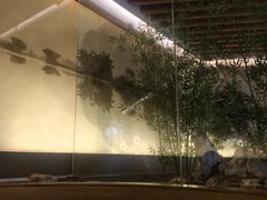 -桂小厨广西菜(青秀万达店)