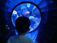 -成都浩海立方海洋公园