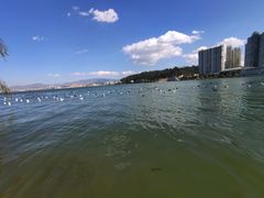 -大理洱海