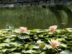 -三里河公园