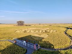 -红海滩国家风景廊道