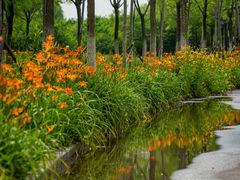 -天津东丽湖风景区