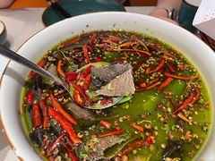 -鸽子侯·家宴·平价海鲜(绿地店)