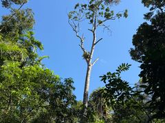 -热带雨林自然公园