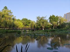 -沐仙湖湿地公园