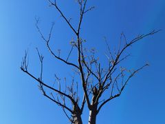 -前小桔亲子创意农场·草莓采摘·露营烧烤