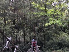 -梦幻奥陶纪景区