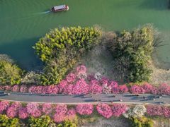 -西溪国家湿地公园