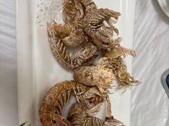 -宾朋海鲜饭庄(兴海路店)