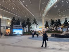 -青岛胶东国际机场