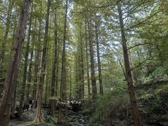 -国家植物园南园