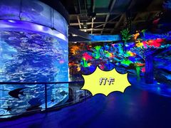 -泉城欧乐堡海洋极地世界