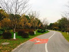 -尚贤河湿地
