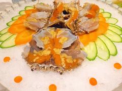 -宝燕海鲜(好爱店)