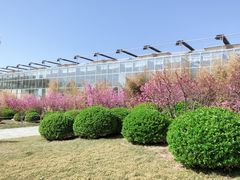 -燕郊植物园