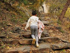 -北京鹫峰国家森林公园