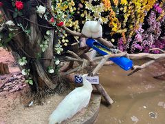 -正佳雨林生态植物园
