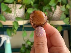 -二斗栗子(西湖道店)