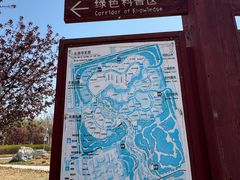-武清南湖绿博园