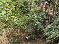 -昆明动物园